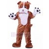 Chien costume de mascotte