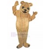ours costume de mascotte