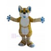 Chien costume de mascotte