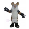 Chien costume de mascotte