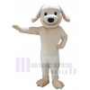 Chien costume de mascotte