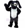 Chien costume de mascotte