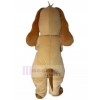 Chien costume de mascotte