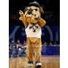Chien costume de mascotte