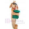 Chien costume de mascotte