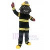 Chien costume de mascotte
