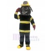 Chien costume de mascotte