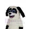 Chien de berger costume de mascotte