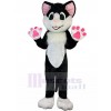Chat costume de mascotte
