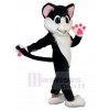 Chat costume de mascotte
