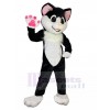 Chat costume de mascotte