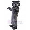Chien costume de mascotte