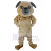 Chien costume de mascotte