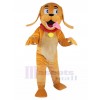 Chien costume de mascotte