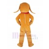 Chien costume de mascotte