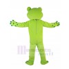 Grenouille costume de mascotte