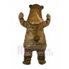 Ours costume de mascotte