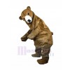Ours costume de mascotte
