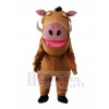 Sanglier costume de mascotte