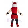 viking costume de mascotte