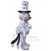 Chat costume de mascotte