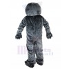 chat sauvage costume de mascotte