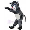 chat sauvage costume de mascotte