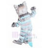 Chat costume de mascotte