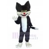 Chat costume de mascotte