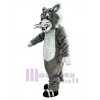 Chat costume de mascotte
