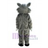 Chat costume de mascotte
