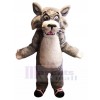 Chat sauvage costume de mascotte