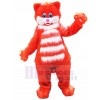 Chat costume de mascotte