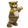 Chat costume de mascotte