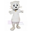 Chat costume de mascotte