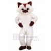 Chat costume de mascotte