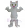 Chat costume de mascotte