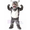 Chat costume de mascotte