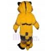 Chat costume de mascotte