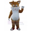 Chat costume de mascotte