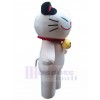 Chat costume de mascotte