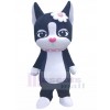 Chat costume de mascotte