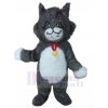 Chat costume de mascotte