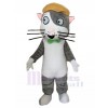 Chat costume de mascotte