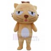 Chat costume de mascotte