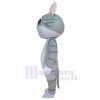 Chat costume de mascotte