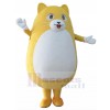 Chat costume de mascotte