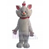 Chat costume de mascotte