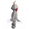 Chat costume de mascotte