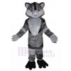 Chat costume de mascotte